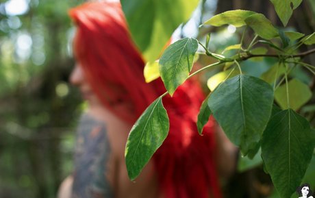 pictures onlyfans free porn archive