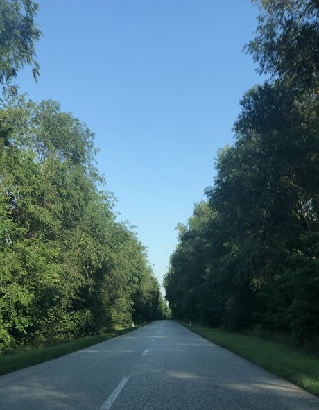 british redhead onlyfans erotic image