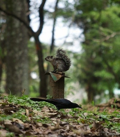 xxxcaligulaxxx naked actress gallery