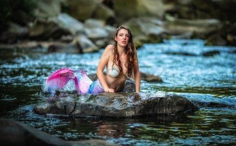 Fine Wolfanguar best star img