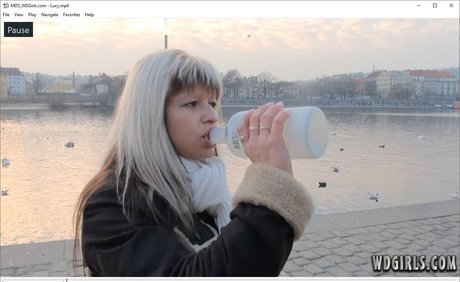 WDgirls perfect pornstar pictures