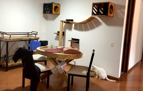 Lara Henao high quality star picture