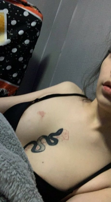 cassie loveyo pornographic star galleries