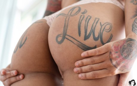 Biancab pornstar top image