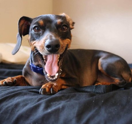 brunette pov onlyfans free xxx picture