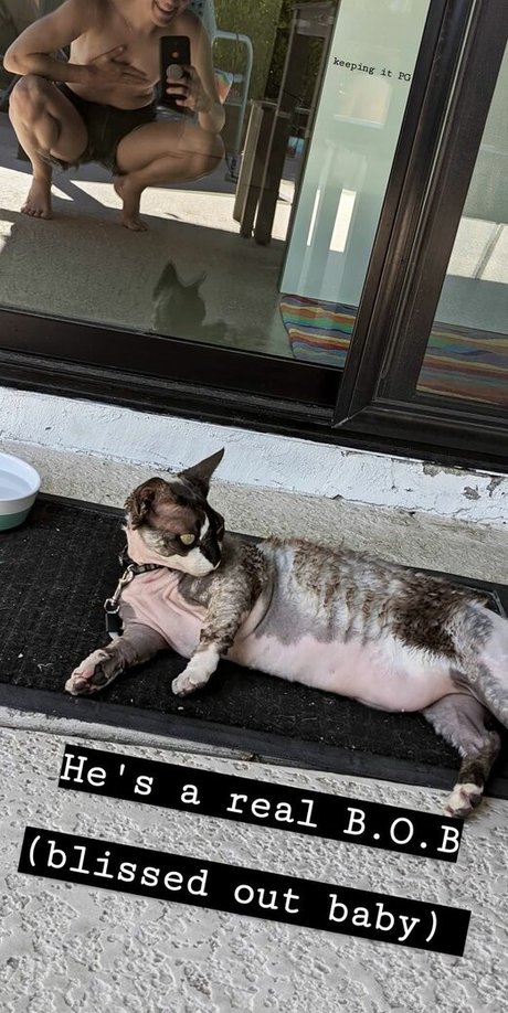 Hannah Hart star nude img