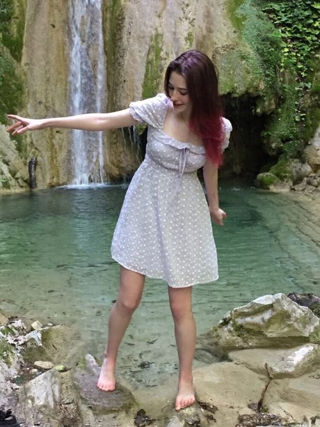 Pumpur mur star nice archive