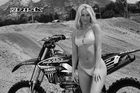 Ashley Wernli nice pornstar gallery