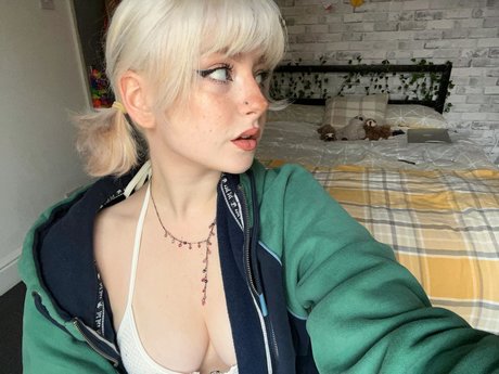 M Ae 3 adult model pictures