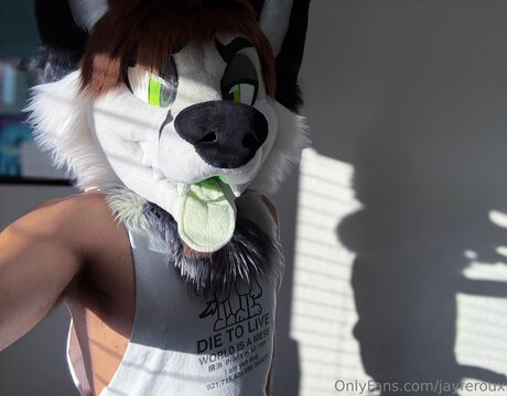 Jayferoux star xxx photos