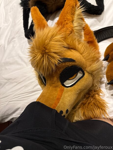 Jayferoux porn star pics