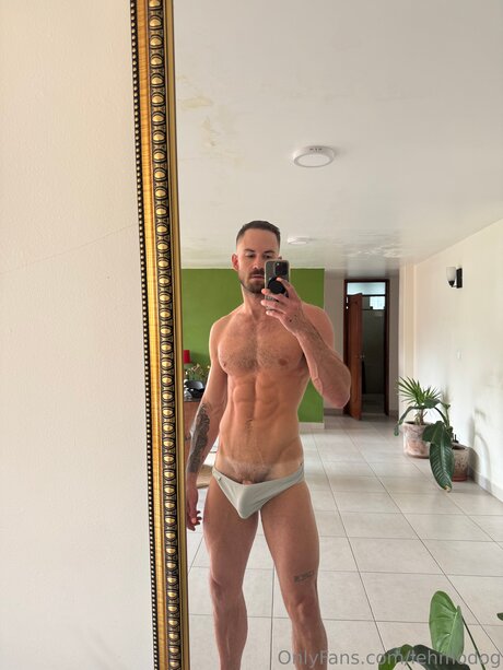 Lehmodog model nice pics