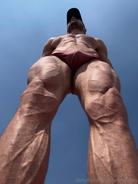 Lehmodog hd model pic