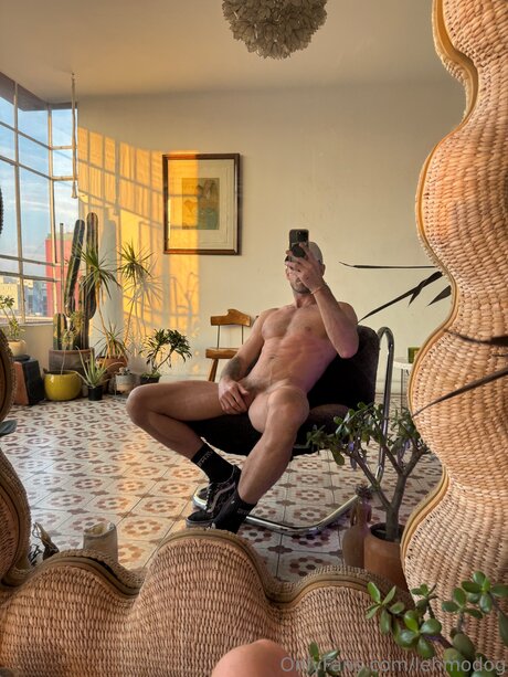 Lehmodog hot pornstar img