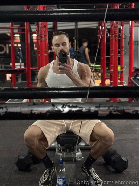 Lehmodog star pretty photos