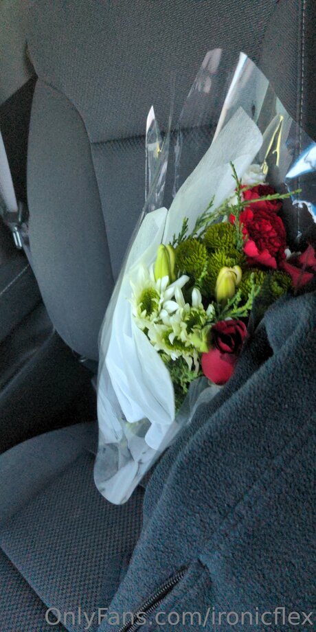 Ironicflex exclusive model images