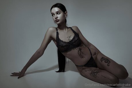 Sscarlettdrake porn model archive