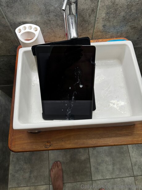 Pologale model images