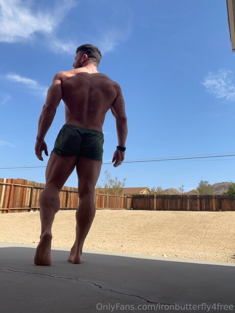 Ironbutterfly4free hd star pic