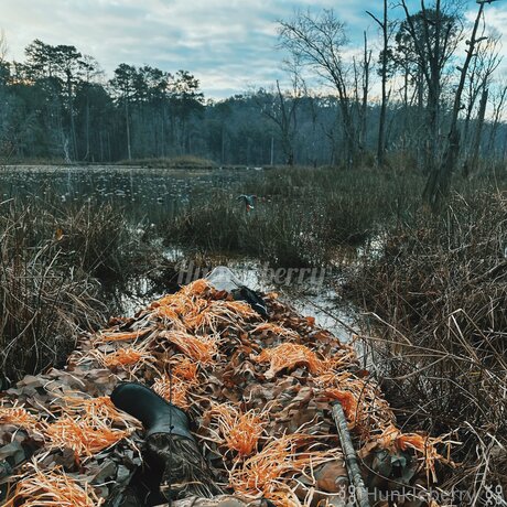 Im Your Hunkleberry model free img