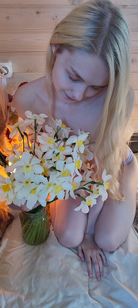 Dreamlilo star nudes gallery