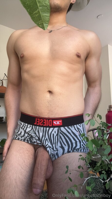 Uncutlatinboy adult actress image