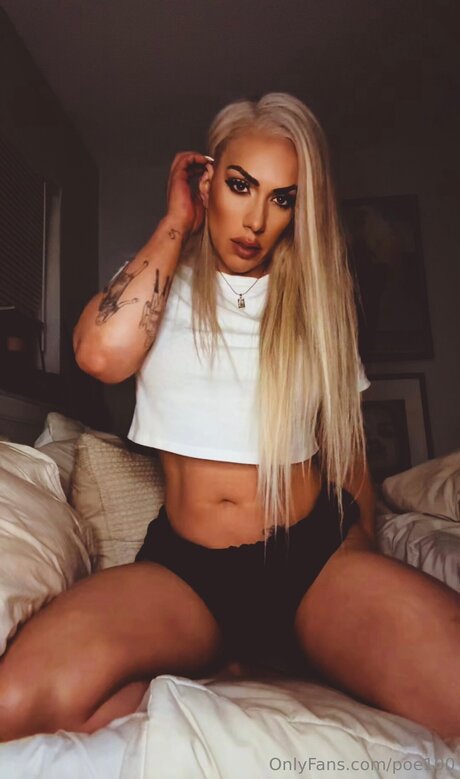 Poe100 free model img