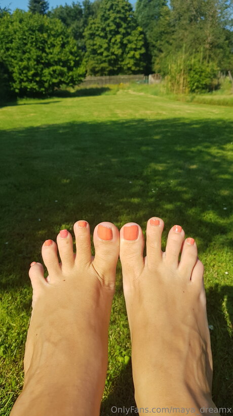 Maya Dreamx sex pornstar image