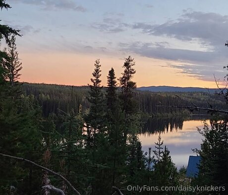 Daisyknickers exclusive star image