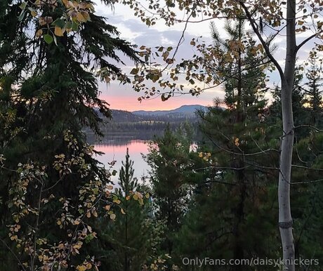 Daisyknickers nice star images