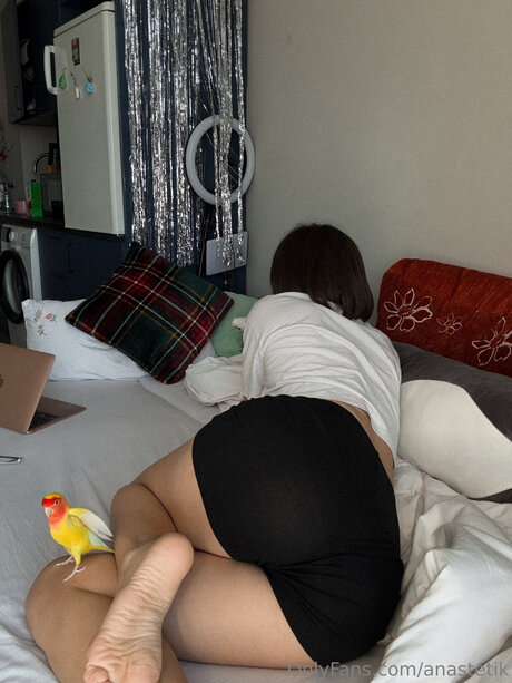 Anastetyk xxx star archive