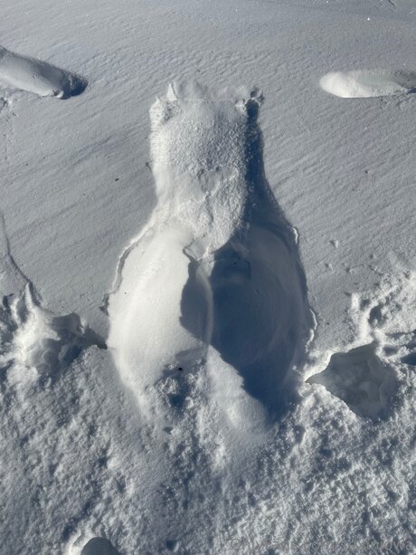 Sexiniowa Profile Pic