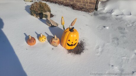 toe onlyfans free xxx image