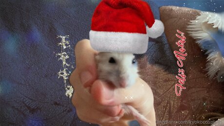 Kyokocosplays sexy model pics