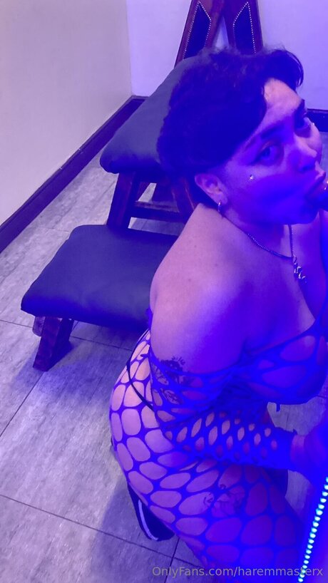 Haremmasterx actress pics