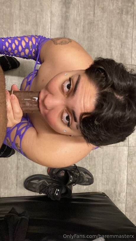 Haremmasterx pornstar sexy picture