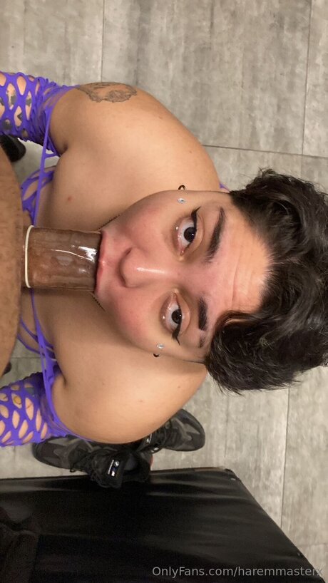 Haremmasterx star perfect picture