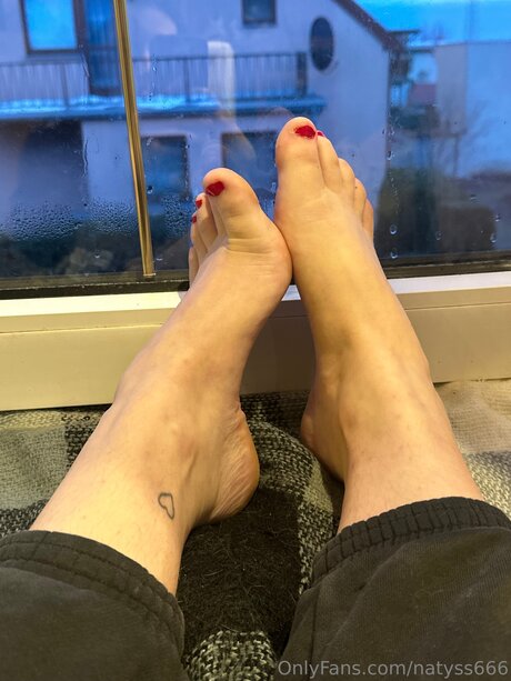 kitchen onlyfans free pictures