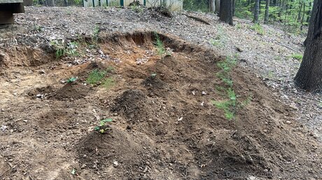 Xxgoldilocksxx beautiful pornstar gallery