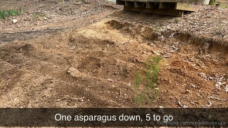 Xxgoldilocksxx model beautiful photo