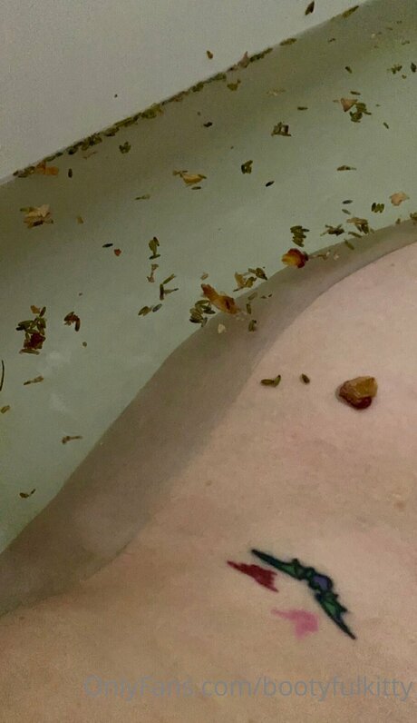 Bootyfulkitty sex pornstar pictures