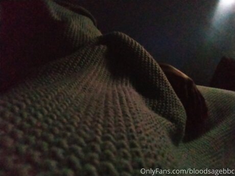 Bloodsagebbc high quality model picture