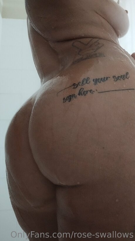 Rose Swallows pornstar art image