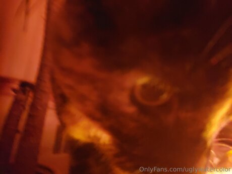 curvy solo onlyfans hot nude photos