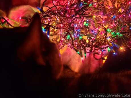 shemale outdoor onlyfans beautiful xxx picture