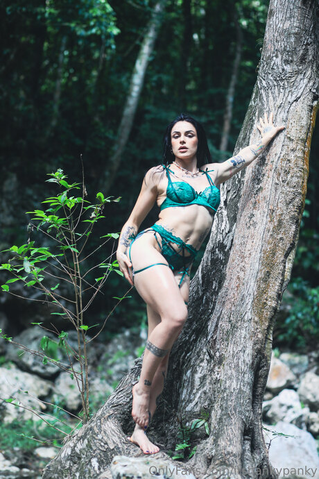 Itshankypanky art pornstar photos