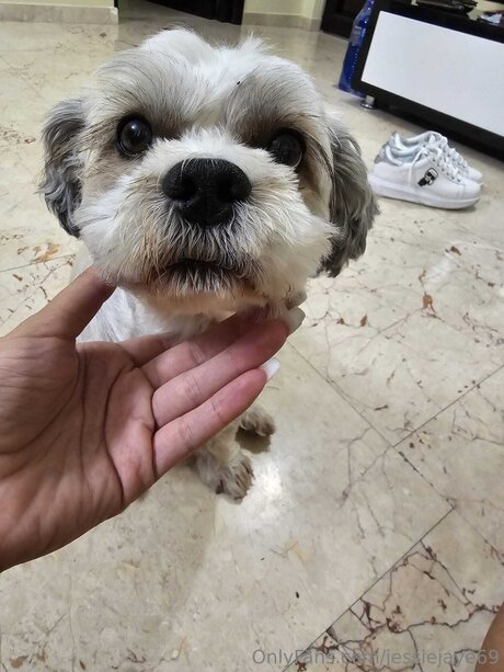 Jessiejaye69 hot pornstar img