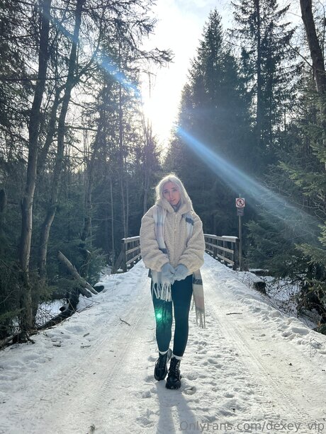 Dexey Vip sexy model photo