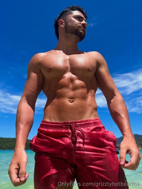 Grizzlyhotbearmx free model image