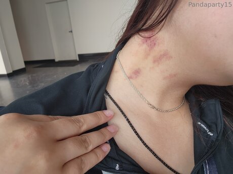 Pandaparty15 star nice gallery